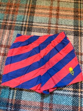 TAO Red and Blue Striped Shorts